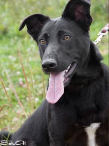 ����� - ������ ������� ���� ��� (�����)