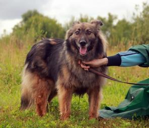 �������� �������� � �������� ����