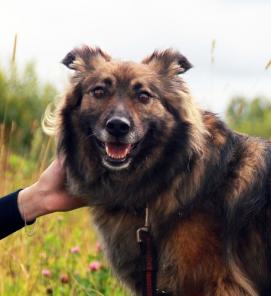 �������� �������� � �������� ����