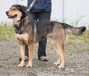 ������ � ����� �������� ��� (����������)