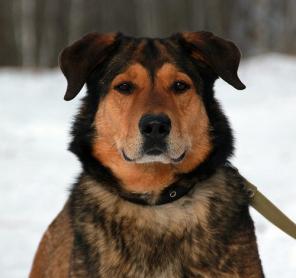 ������ � ����� �������� ��� (����������)