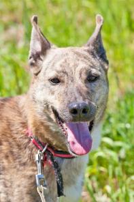 �������� ����� � ������ ����