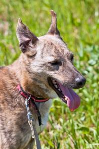 �������� ����� � ������ ����