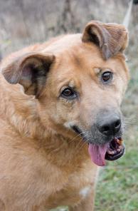 ��������� ���  ���� ���������� � ������� ����