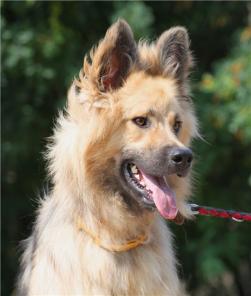 ����.��������� � ����������� �������.