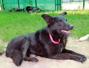 �������� ����� ���� ���! � ���!