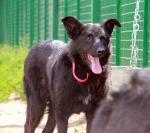 �������� ����� ���� ���! � ���!