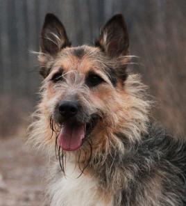 ��������� ��� ��� ��������� �������!������ � ���.