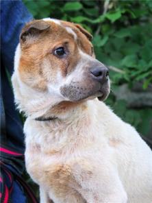 ����� ������ ���� ������ � ����� ������ ����!