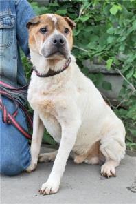 ����� ������ ���� ������ � ����� ������ ����!