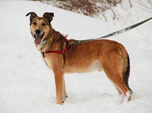 ������ ������ � ������� � �������� ��� � ������ ����!