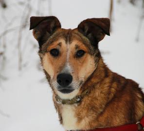 ������ ������ � ������� � �������� ��� � ������ ����!