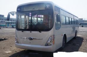   Hyundai Aero City 540 2010 