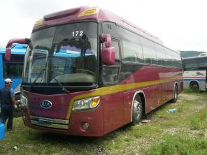    Kia Granbird Sunshine 2010 