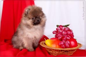 ����� ������������ �����.