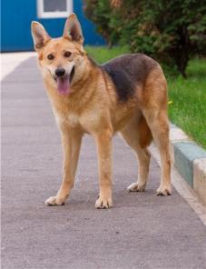 ���� ���������� ����� �������� �������.