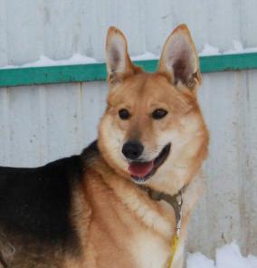 ���� ���������� ����� �������� �������.