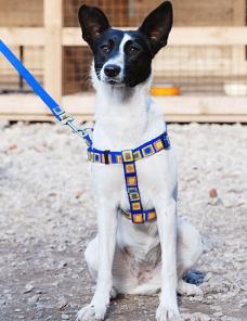 ����-������ �������� ����������! ��������� ������� � ������ ����,� ���!