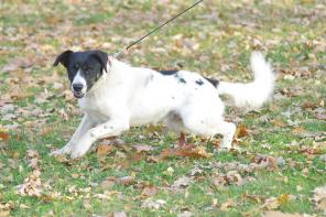 ���������� ��������� ��������,�������� � �������� ������ � ���!