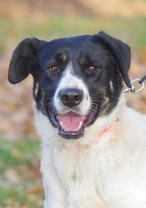 ���������� ��������� ��������,�������� � �������� ������ � ���!