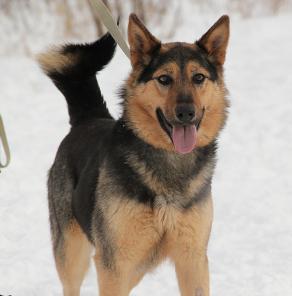 ���������-������ ������,����������� ������ � ���!