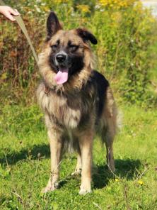 ��������� ���������� ��� ������ � �������� ����.� ���.