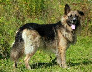 ��������� ���������� ��� ������ � �������� ����.� ���.