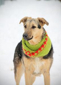 �������� ���� ���