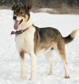 ��������� �����,����� �������-������� ���� ���� ���!