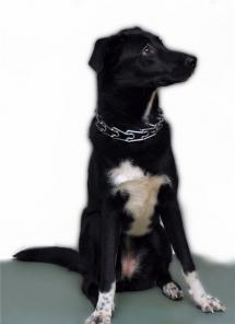 �����  ����� ���� ������ � ����������! � ���!