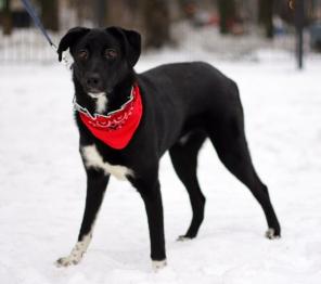 �����  ����� ���� ������ � ����������! � ���!