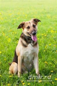 � ��� ����������� �������� ������ � ���� - ������ � ������ ������ ��� ��� � ����� �����