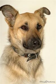 ������ ����� ����� � ������ ��� �������������� ����!