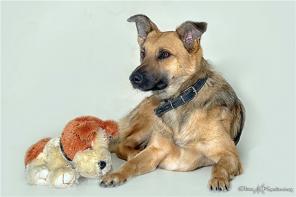 ������ ����� ����� � ������ ��� �������������� ����!