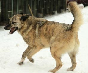 ������� ������ ������,���������� ��������� � �������� ��������!