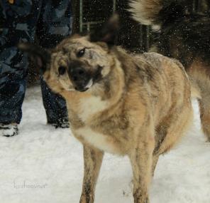 ������� ������ ������,���������� ��������� � �������� ��������!