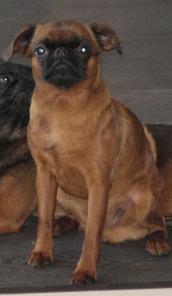 ����� �������� � ���-����������