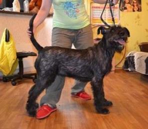 ������������ ����� ����� � ���