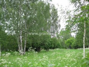 ������ ������� 34 ���, ����� ���������