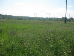 ������ ������� 12 ����� ��� ��������