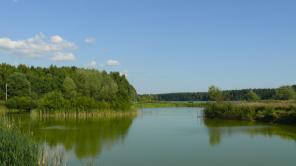 ��������� ��������� ������� 12 ����� �� ������� 50%, �. ���������, 36 �� �� ���� �� ������������ �., ��������� �-� ��