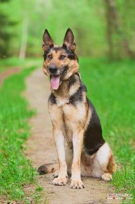 ��������� ���� � ��������� ��������� ���������. ���. � ������ ����!