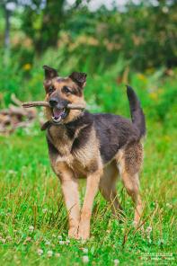 ����� - ��������-����������� ������� - ������ ��� �������� �����, � ��� �� ����������!