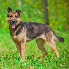 ����� - ��������-����������� ������� - ������ ��� �������� �����, � ��� �� ����������!