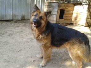 ���� -���������� ����� � ������� ������� ���� ������������� ����!