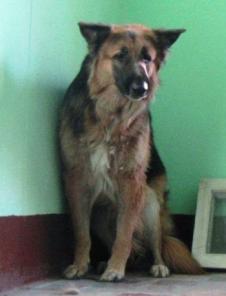 ���� -���������� ����� � ������� ������� ���� ������������� ����!