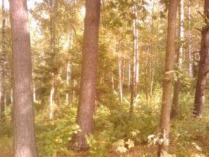 ������� ����� � ������� ���������