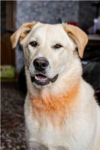 ������� �������� � ���