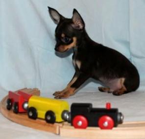 ���-������. �������������� � �������������� ����� � ���������