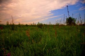 ��������� ������� � ����������� �� 8 �� 22 �����